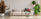 How To Decorate White Walls