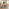 Aalto Whitewashed Wood Dining Table 6 Beige Belgravia Chairs