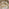 Tari & Asa Wood 4 Seat Round Table Garden Dining Set