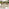 Tari & Asa Wood 4 Seat Round Table Garden Dining Set