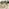 Lanai & Asa Beige Rattan & Cream 4 Seat Round Table Garden Dining Set
