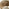 Asa Wood & Wicker 4 Seat Garden Dining Set