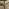 Asa Wood & Wicker 4 Seat Garden Dining Set