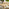 Asa & Hamburg Wood 4 Seat Garden Dining Set
