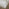 Aalto Whitewashed Wood Dining Table 6 Beige Belgravia Chairs
