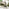 Cantilever Cream Square Garden Parasol Only (No Base)