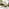 Cantilever Cream Square Garden Parasol Only (No Base)