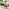 Cantilever Green Square Garden Parasol Only (No Base)
