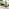 Cantilever Green Square Garden Parasol Only (No Base)