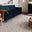 Farah Beige & Blue Persian Inspired Medallion Rug 200x300