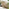 Hamburg  Wood 4 Seat Garden Dining Set