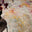 Haze Abstract Multicolour Rug 120x170