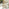 Asa & Hamburg Wood 4 Seat Garden Dining Set