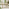 Hamburg  Wood 4 Seat Garden Dining Set