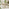 Hamburg  Wood 4 Seat Garden Dining Set