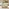 Iko Wood & Cream 4 Seat Garden Sofa & Chairs Set