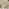 1x Iko Wood & Cream Garden Accent Chair