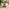 Lanai & Elba Beige Rattan & Black 4 Seat Round Table Garden Dining Set
