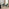 Penrose Black Round Dining Table & 4 Green Layla Fabric Swivel Chairs