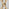 Leonardo Brown/Grey Marble Glass and Gold Console Table