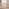 Lynton Large Oak Effect Wooden Dining Table & 2 Benches