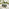 Marbella Grey Rattan 9 Seat Sofa Garden Dining Set with Firepit Table