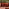 Orlando Brown Rattan & Orange 10 Seat Modular Garden Sofa