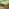 Orlando Beige Rattan & Green 6 Seat Modular Garden Sofa