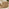 Orlando Beige Rattan & Cream 8 Seat Modular Garden Sofa