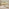 Padstow Cream Wooden Extending Dining Table & 6 Millford Chairs