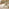 Padstow Round Oak and Cream Solid Wood Extending 4-6 Seater Dining Table