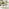 Tari & Asa Wood 4 Seat Round Table Garden Dining Set