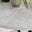 Adley Grey Concrete Effect Storage Dining Table & 4 Light Grey Nora Black Leg Chairs