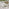 Lanai & Elba Beige Rattan & Cream 4 Seat Round Table Garden Dining Set