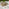 Lanai & Elba Beige Rattan & Cream 4 Seat Round Table Garden Dining Set