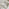 Lanai & Elba Beige Rattan & Cream 4 Seat Round Table Garden Dining Set