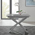 Lira 100cm Grey Metal Extending Dining Table & 6 Grey Pesaro Silver Chairs